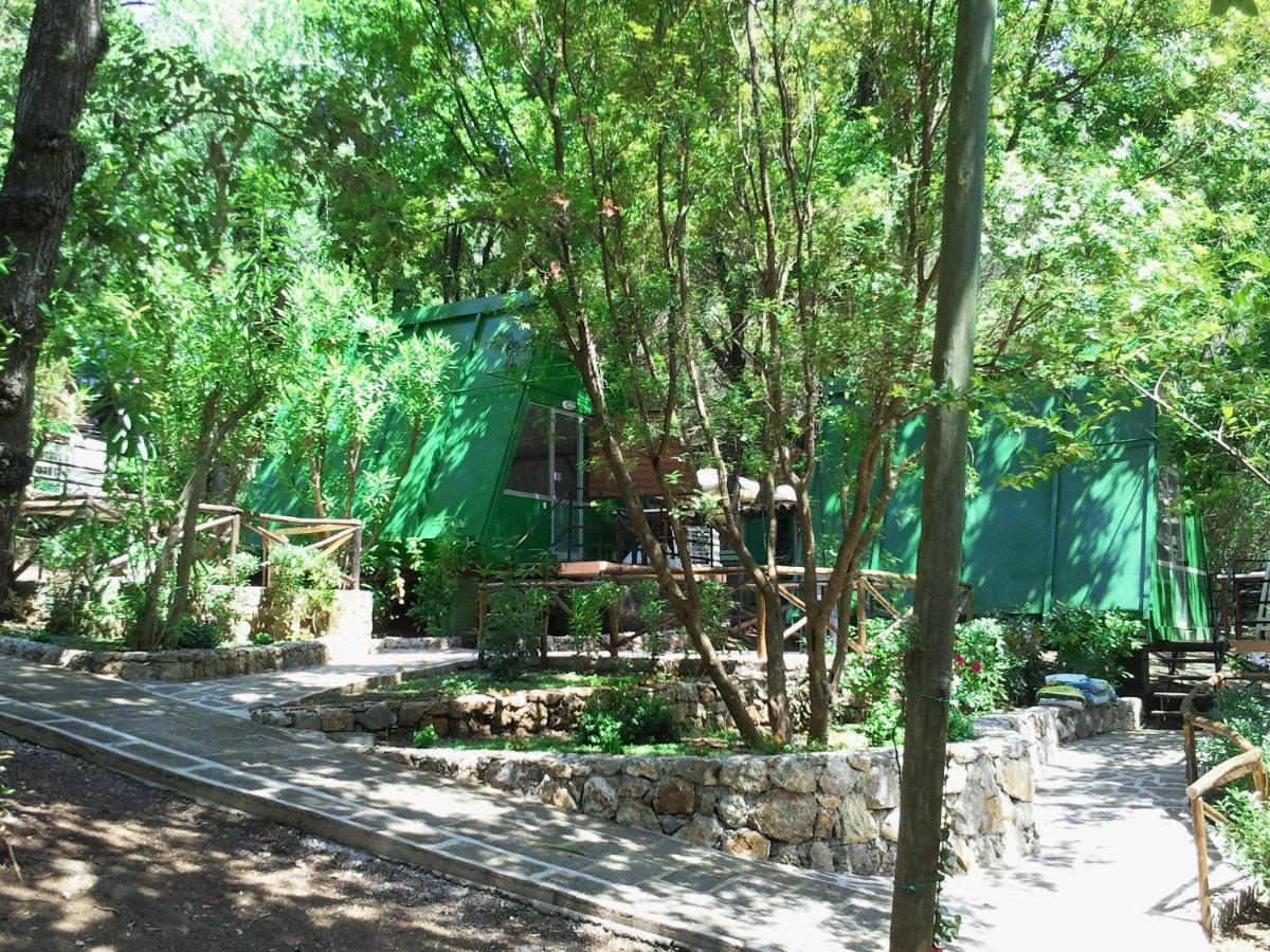 La Francesca Sud Un Villaggio"Glamping" Scario Exteriör bild